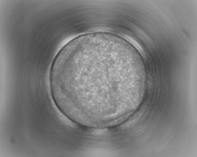 X0000115191055200911181444