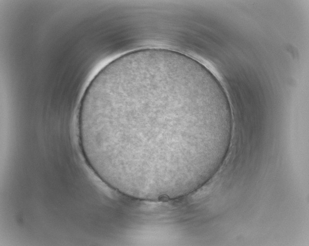 X0000115191056200911181444