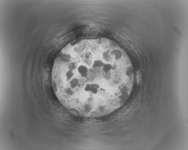 X0000115191059200911181443