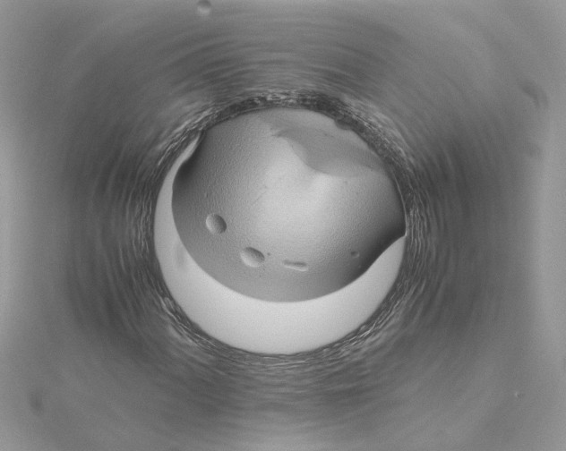 X0000115191060200911181443