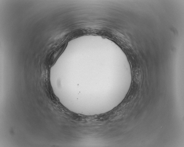 X0000115191061200911181443