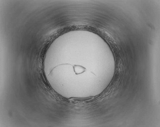 X0000115191062200911181443