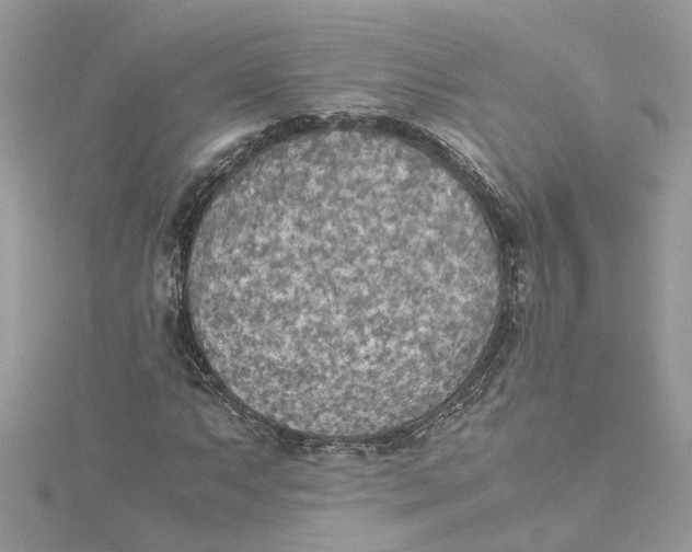 X0000115191063200911181443