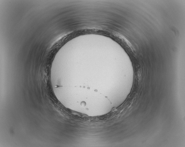 X0000115191064200911181443