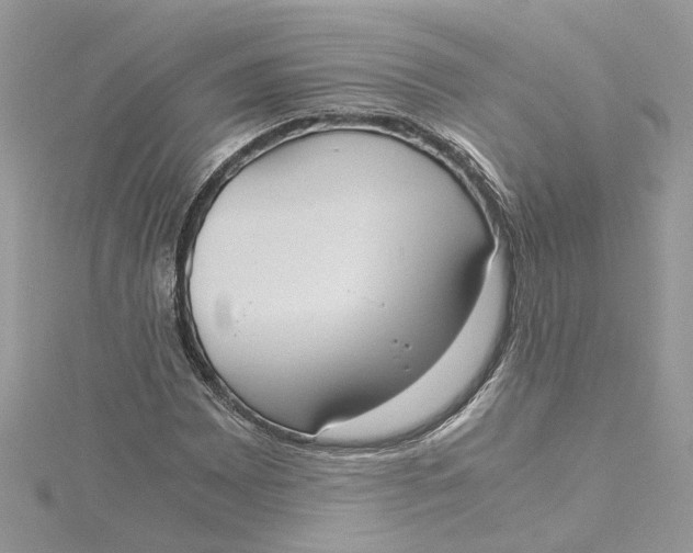 X0000115191065200911181443