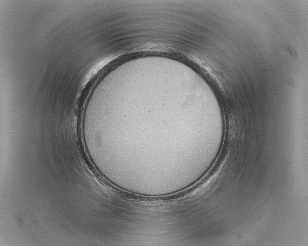 X0000115191066200911181443