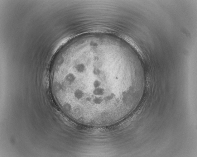 X0000115191067200911181443