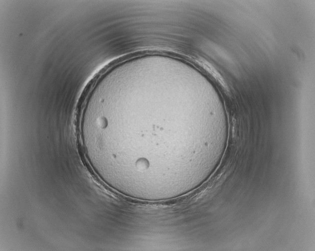 X0000115191068200911181443