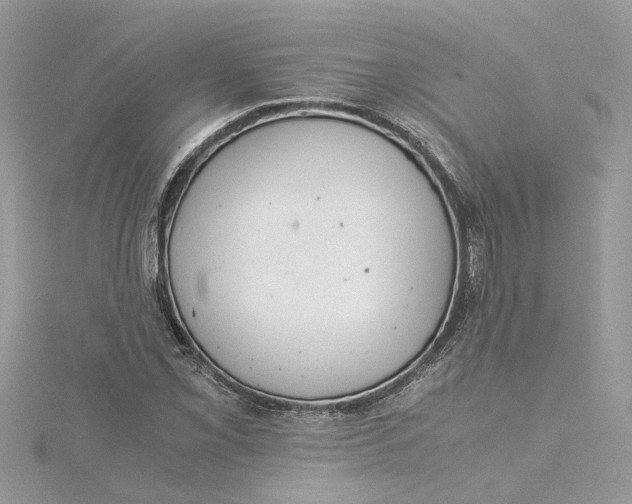 X0000115191069200911181443