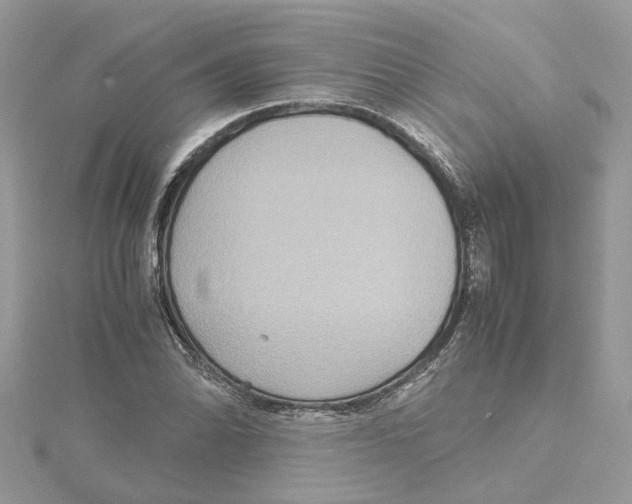 X0000115191070200911181443