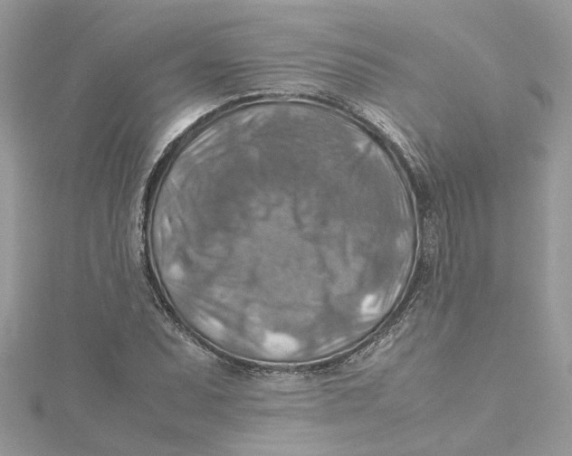 X0000115191071200911181443