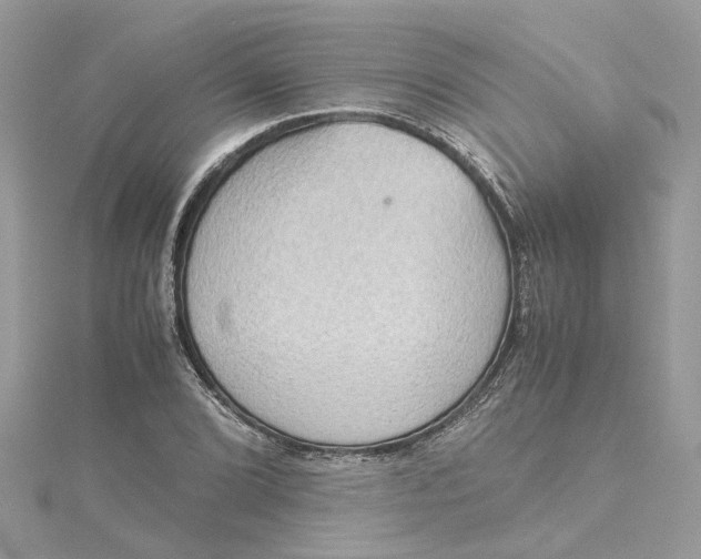 X0000115191072200911181443