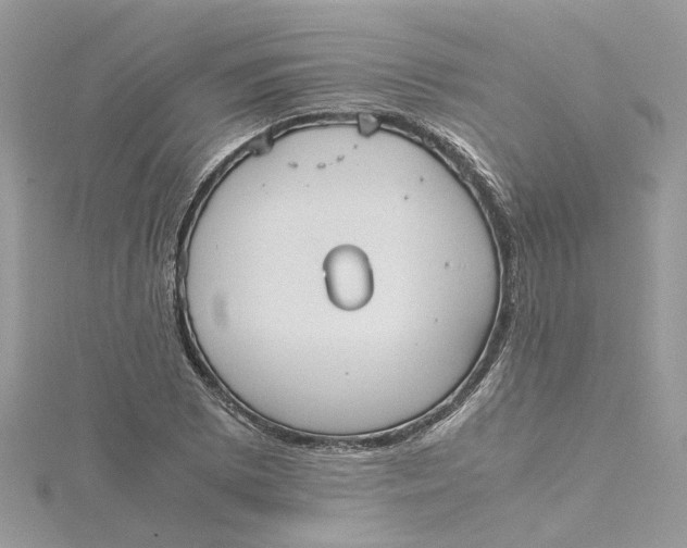 X0000115191073200911181443