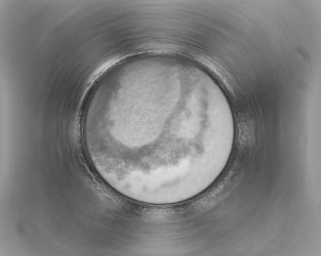 X0000115191074200911181443