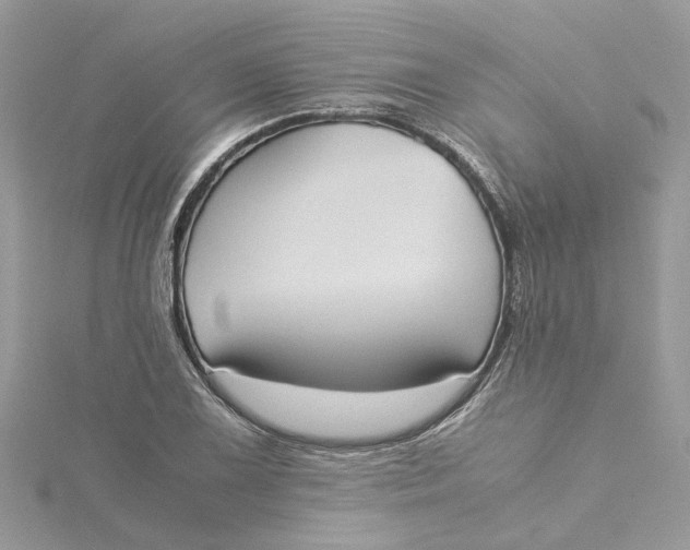 X0000115191075200911181443