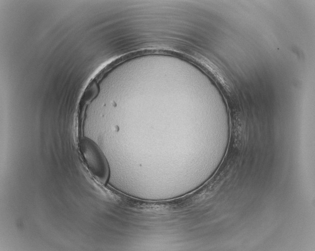 X0000115191076200911181443