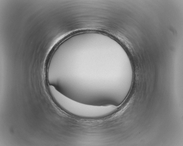 X0000115191077200911181443