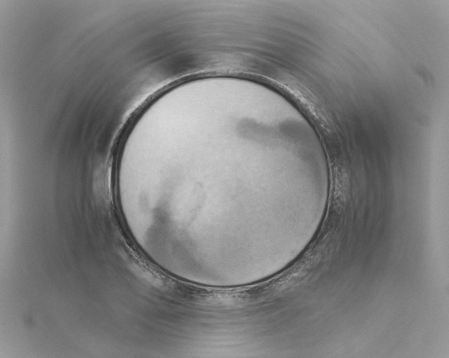 X0000115191078200911181443