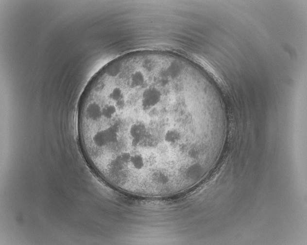 X0000115191079200911181443