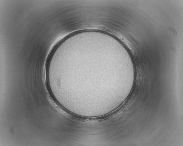 X0000115191080200911181443