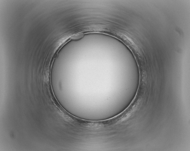 X0000115191081200911181443