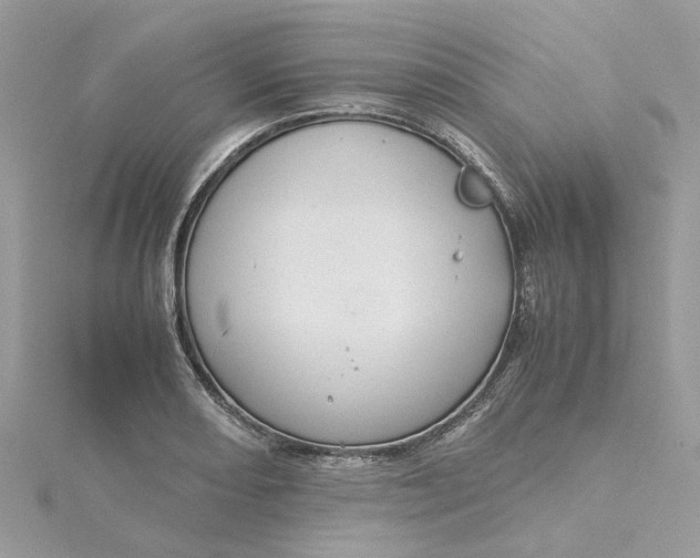 X0000115191082200911181443