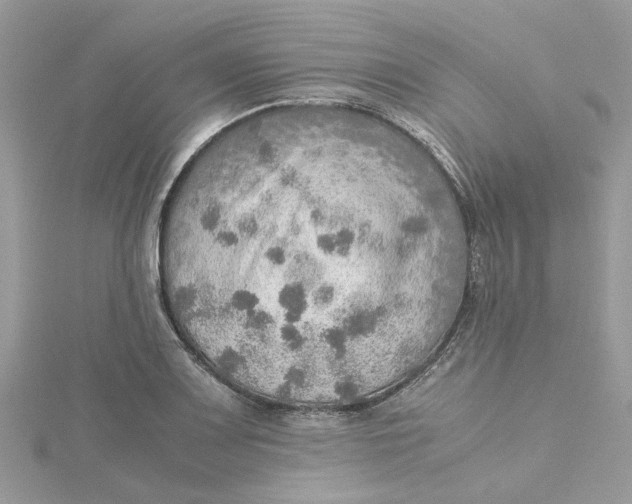 X0000115191083200911181443