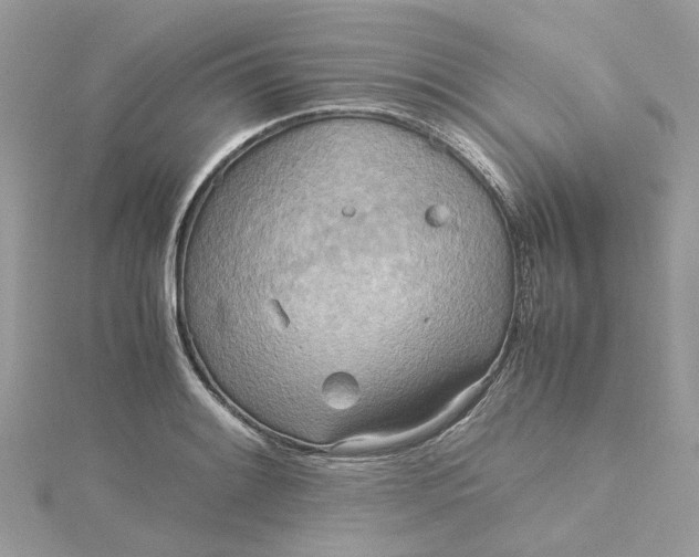 X0000115191084200911181443