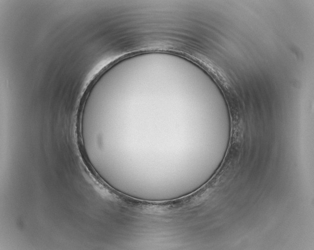 X0000115191086200911181443