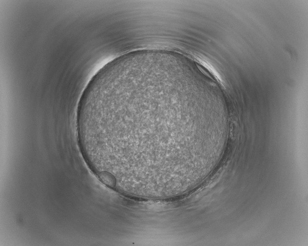 X0000115191087200911181443