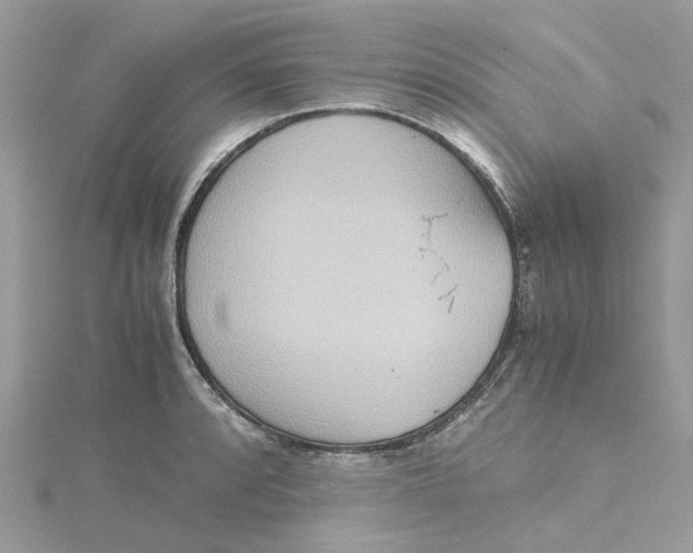 X0000115191088200911181443