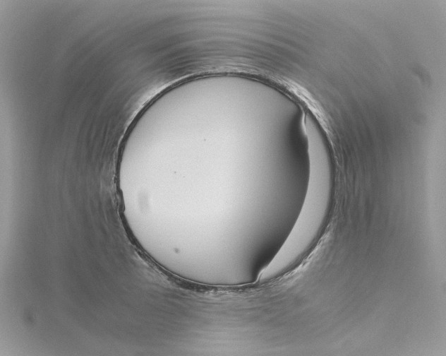 X0000115191089200911181443