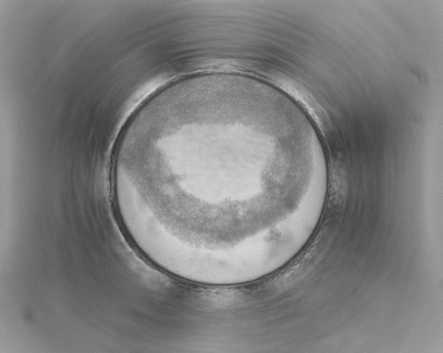 X0000115191090200911181443