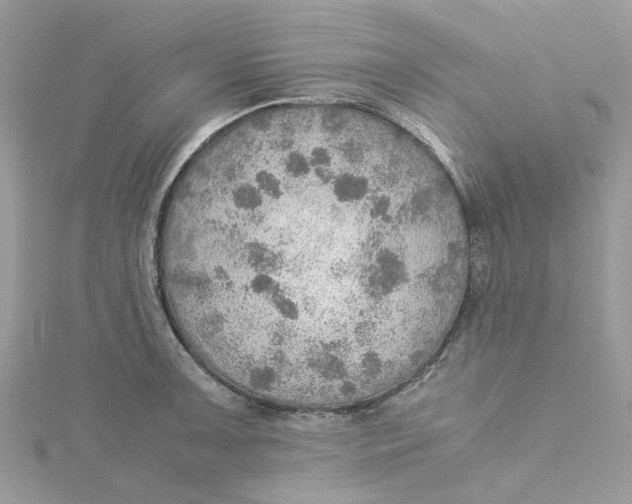 X0000115191091200911181443