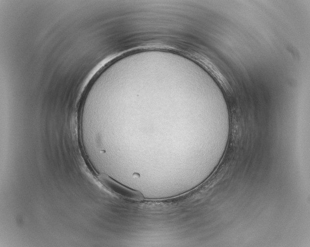 X0000115191092200911181443