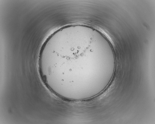 X0000115191093200911181443