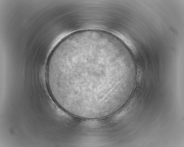 X0000115191094200911181443