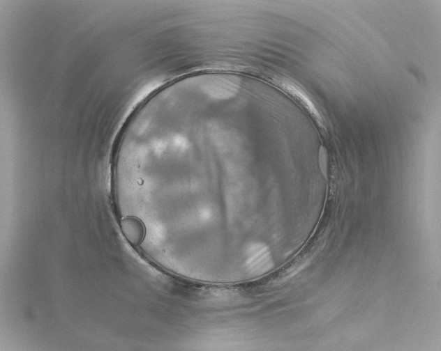 X0000115191095200911181443