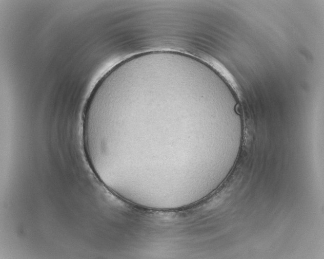 X0000115191096200911181443