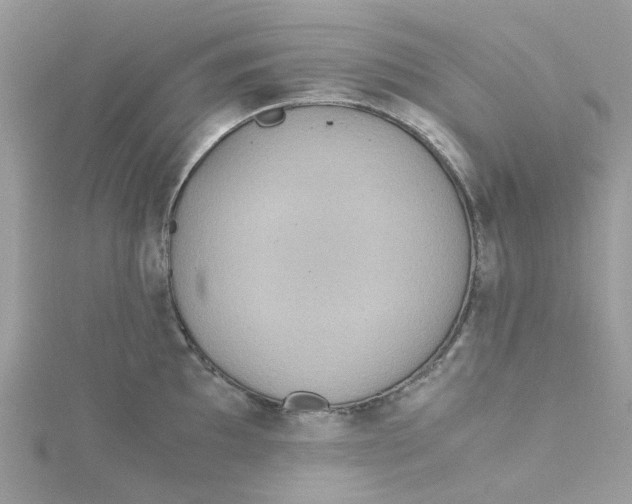 X0000115191097200911181443