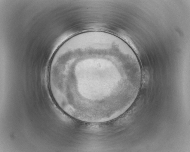 X0000115191098200911181443