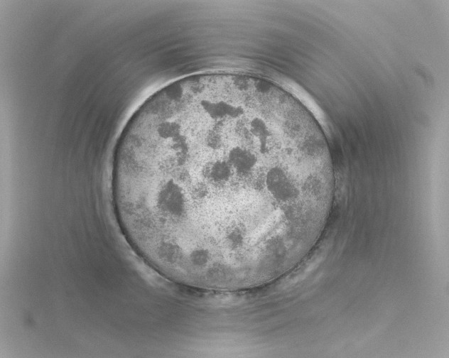 X0000115191099200911181443