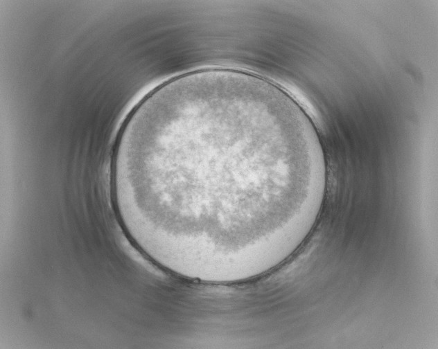 X0000115191100200911181443