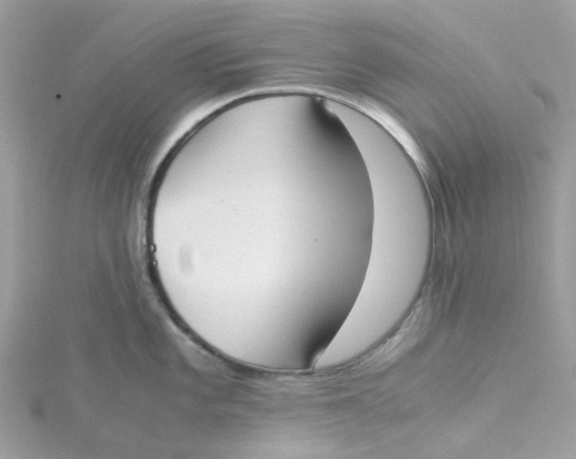 X0000115191101200911181443