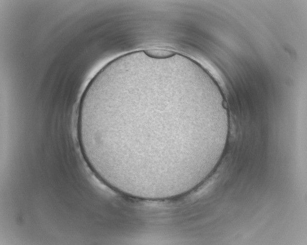 X0000115191102200911181443