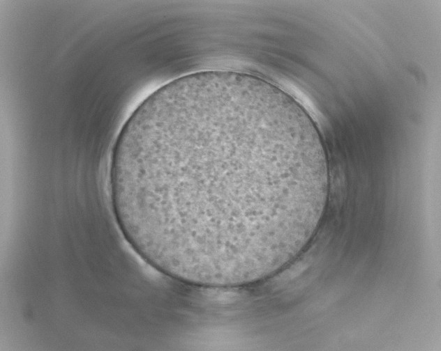 X0000115191103200911181443