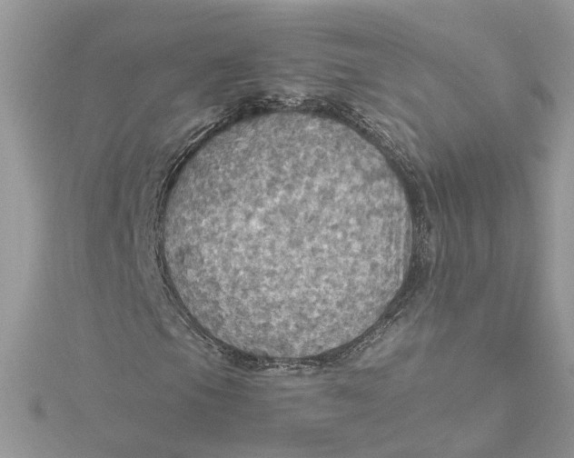 X0000115191105200911181442