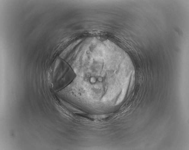 X0000115191106200911181442