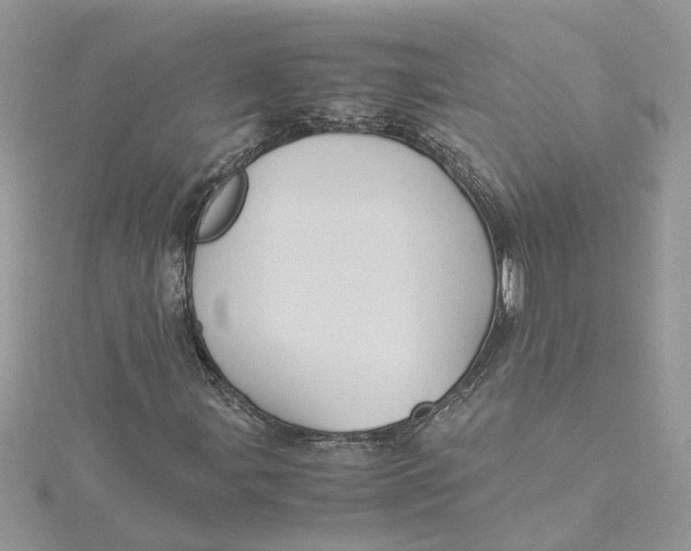 X0000115191107200911181442