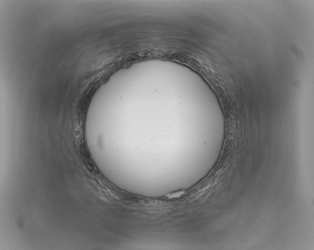 X0000115191109200911181442